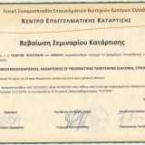 Certificate 2011